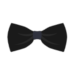 accessory